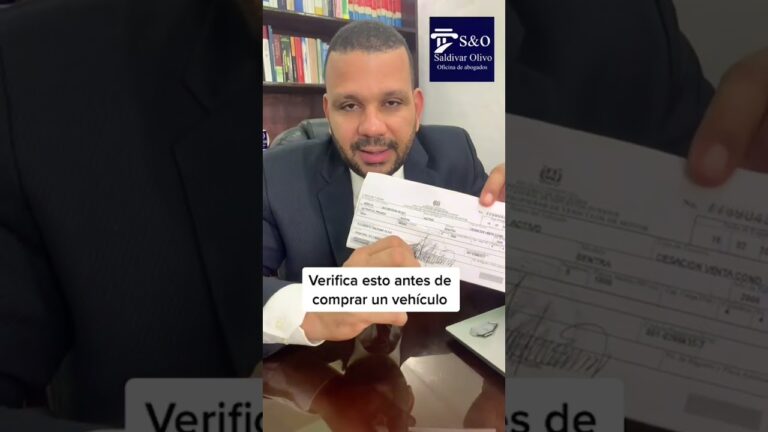 a que coche corresponde esta matrícula