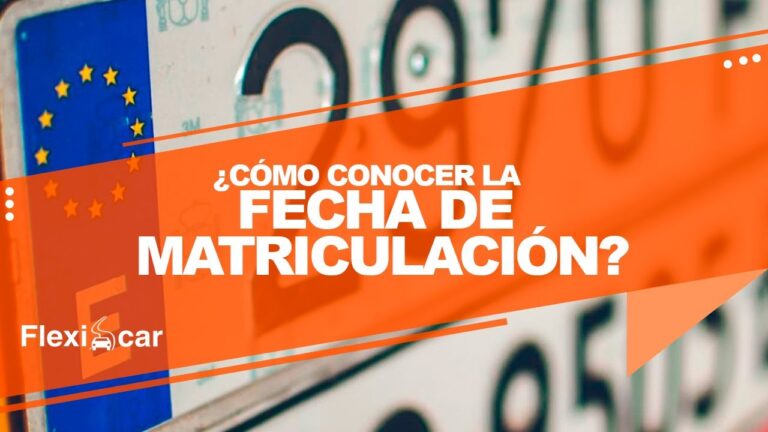 a que coche pertenece esta matricula