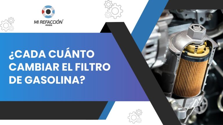 cada cuánto se cambia el filtro del gasoil