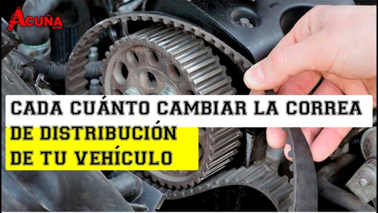 cada cuantos kilometros se cambia la correa de distribucion