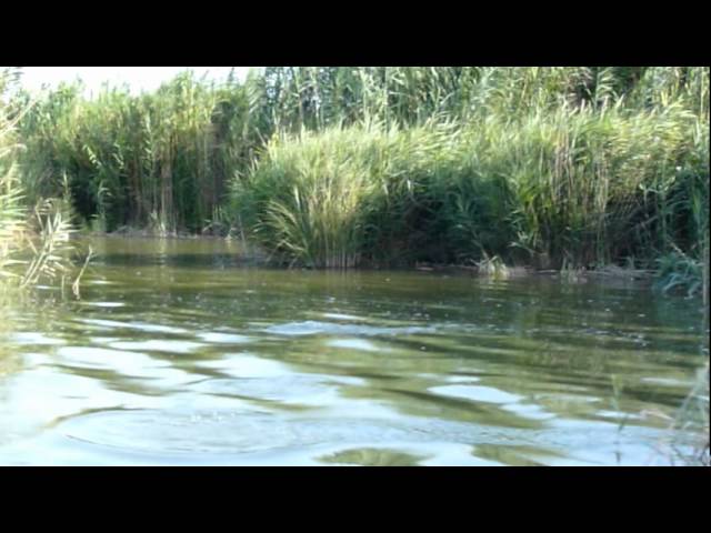 como llegar a la albufera de valencia en autobús