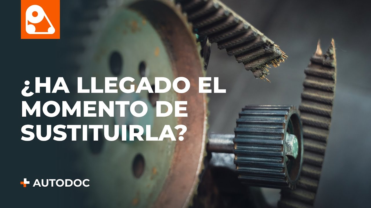 cuando hay que cambiar la correa de distribucion