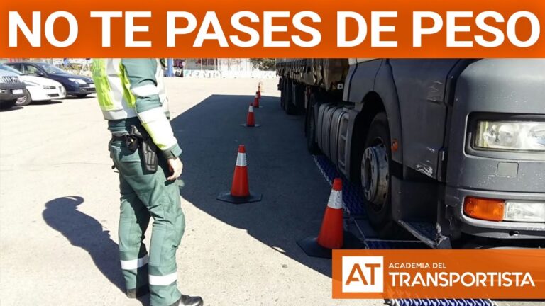 cuantas toneladas puede llevar un camion