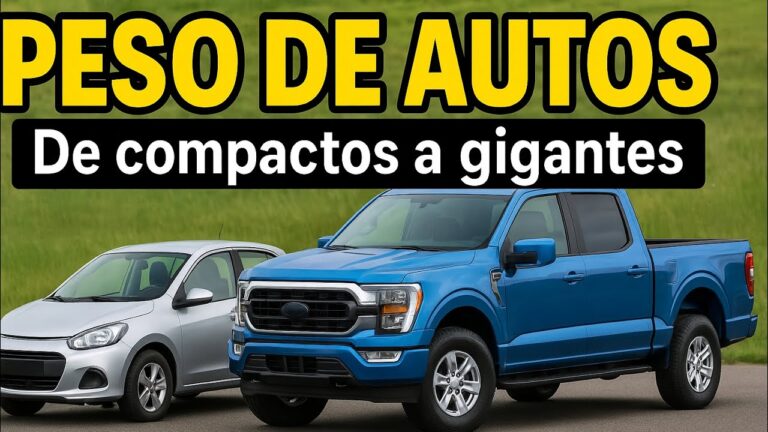 cuanto pesa un coche de media