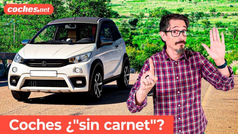 cuanto pesa un coche sin carnet
