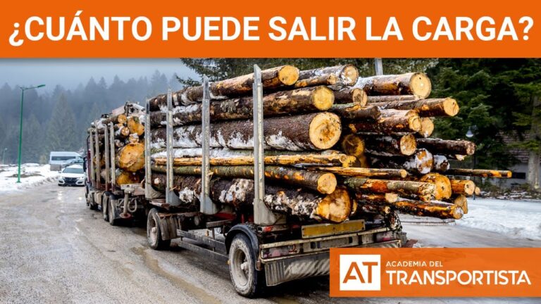 cuanto puede sobresalir la carga en un camion