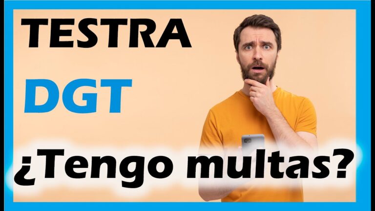 cuanto tardan en aparecer las multas en midgt