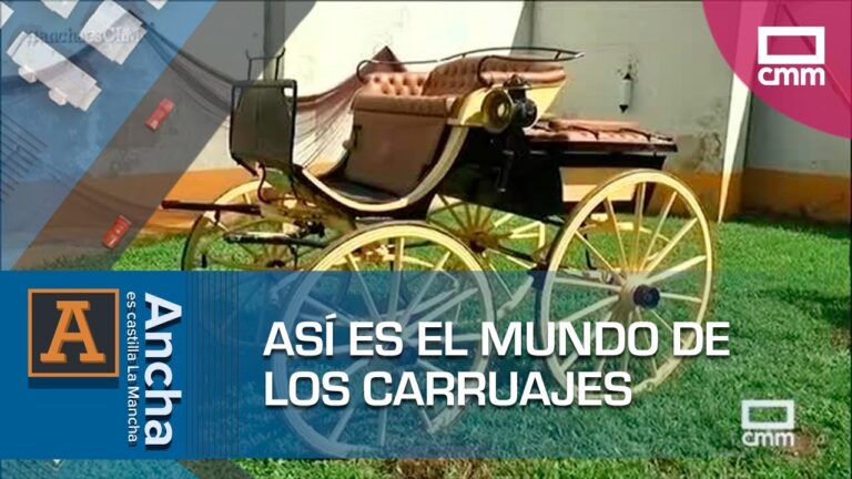 diferencia entre calesa y coche de caballos