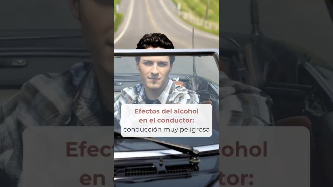 el conductor que ha tomado alcohol