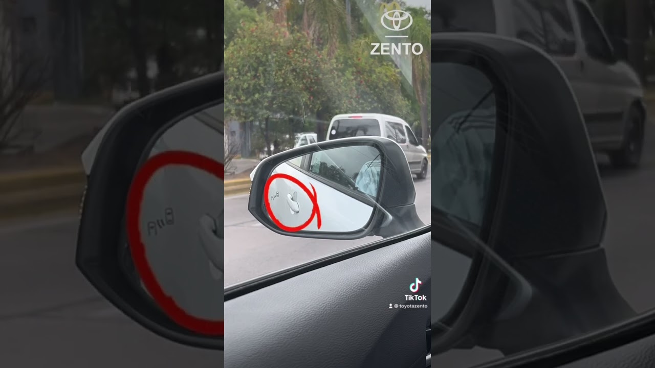 el reglaje del espejo retrovisor exterior izquierdo será correcto