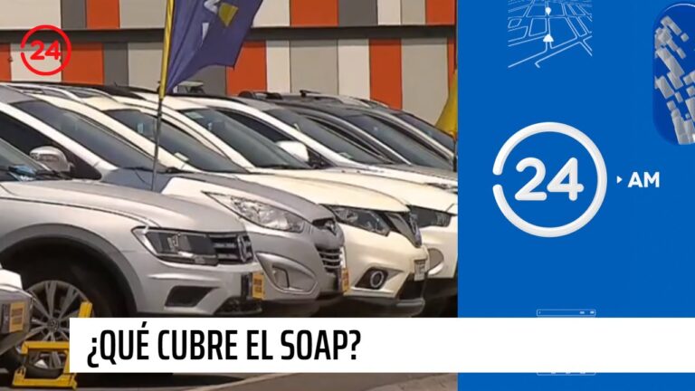 en caso de accidente el seguro obligatorio