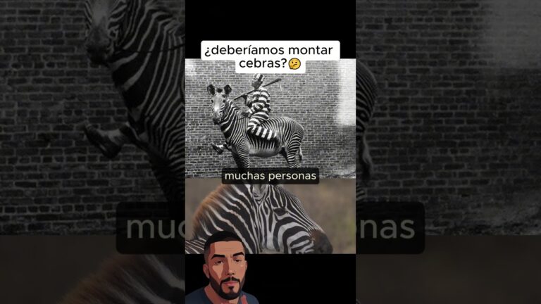 es legal tener una cebra en españa