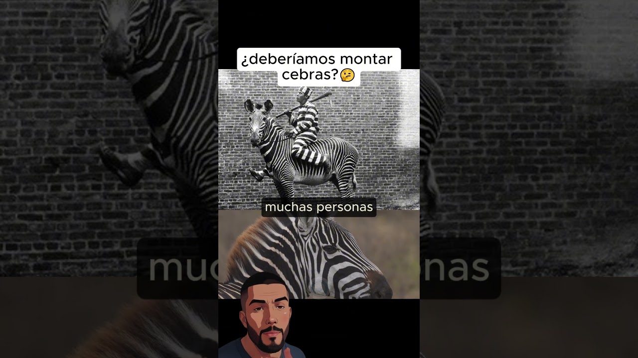 es legal tener una cebra en españa