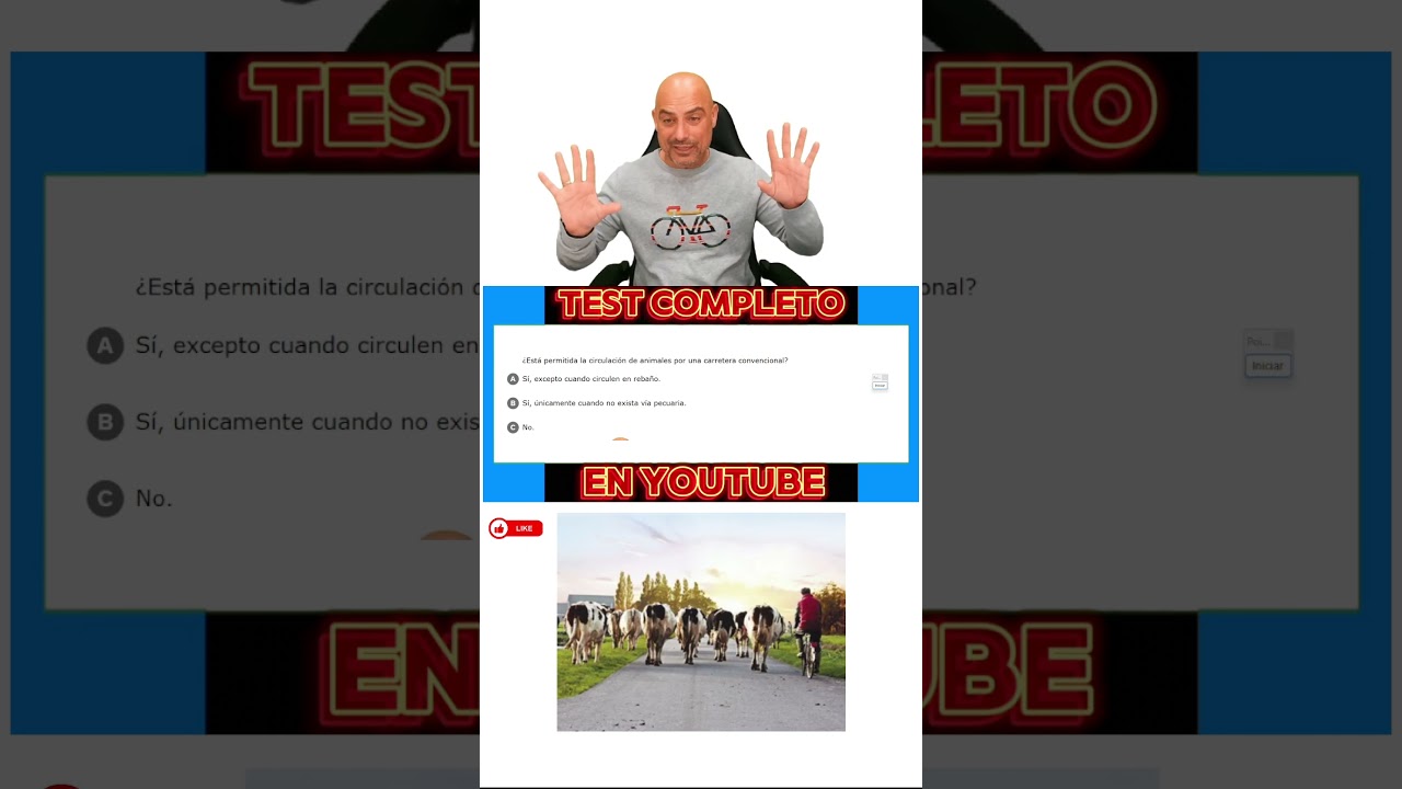 está permitida la circulación de animales por una carretera convencional