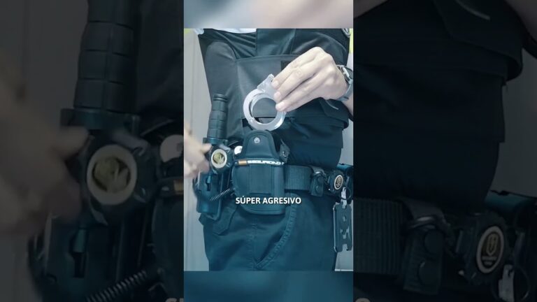 exentos de llevar cinturón de seguridad