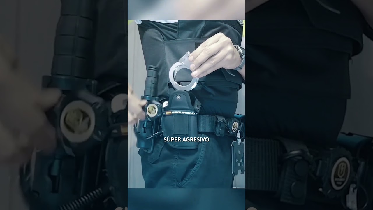exentos de llevar cinturón de seguridad