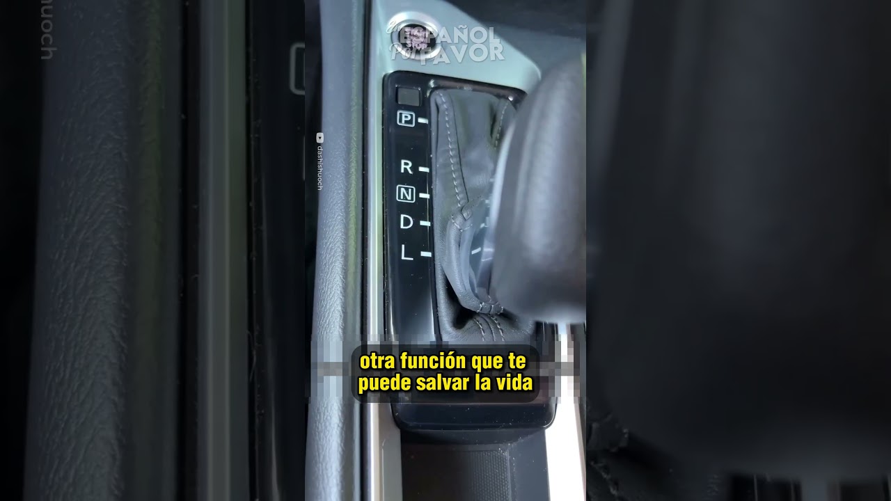 fotos de la l de conducir