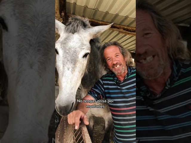 hasta que edad se puede montar un caballo
