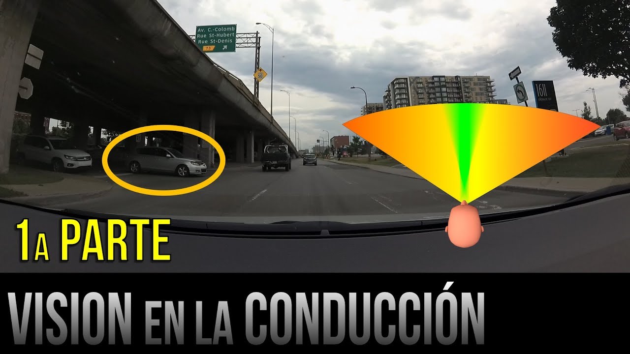 influye la velocidad en el campo visual del conductor