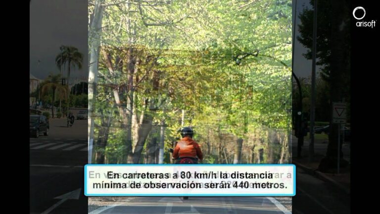 los principios de la conducción preventiva son
