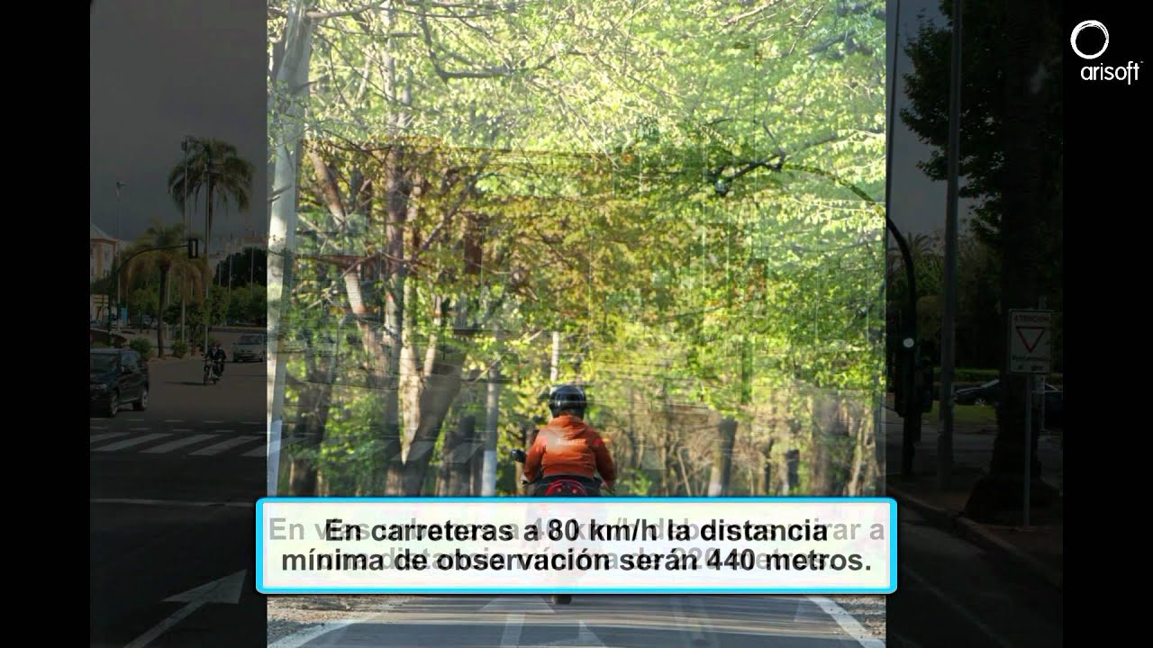 los principios de la conducción preventiva son