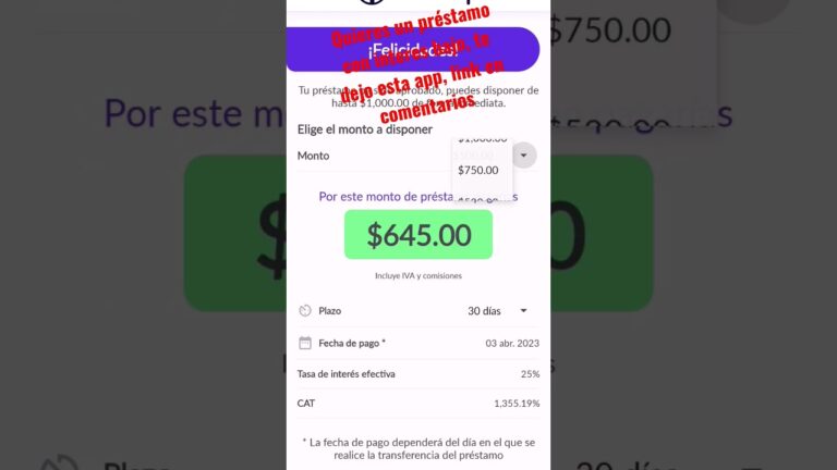 número de teléfono de mini dinero