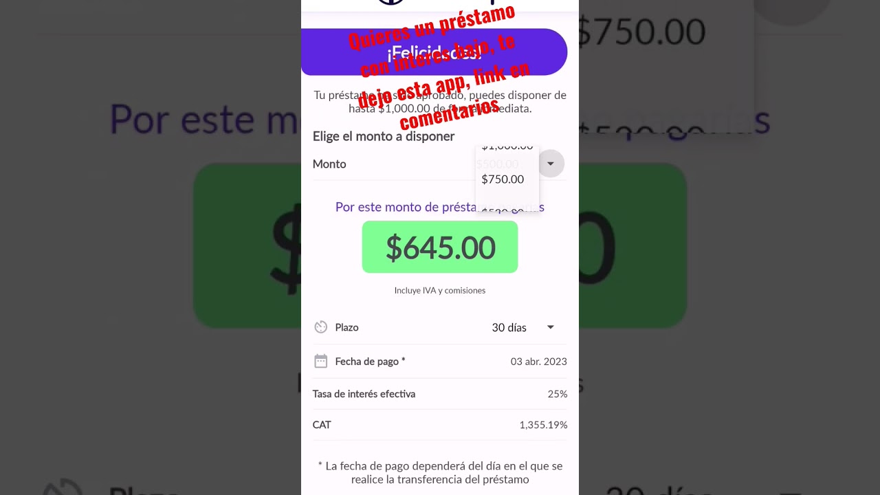 número de teléfono de mini dinero