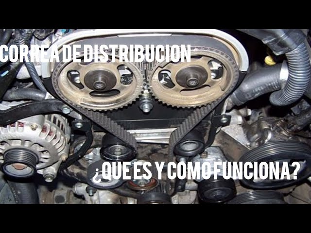 para que sirve la correa de distribucion