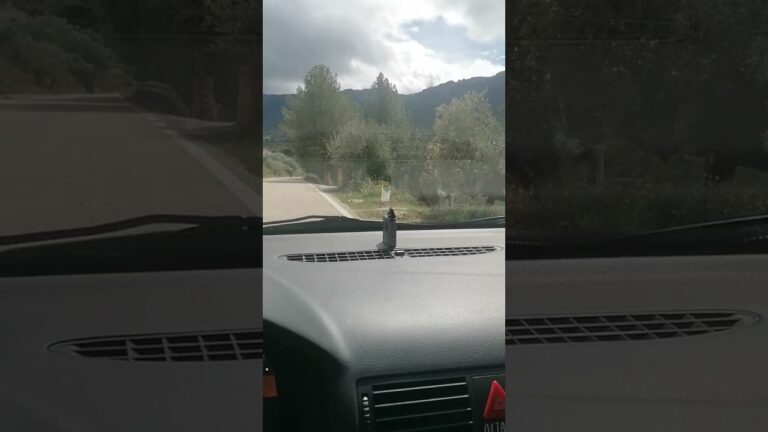 paralelamente al borde de la calzada