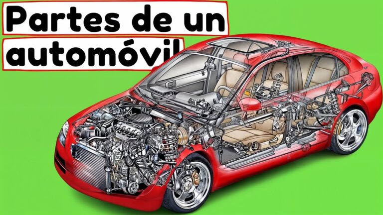 parte anterior y posterior de un coche