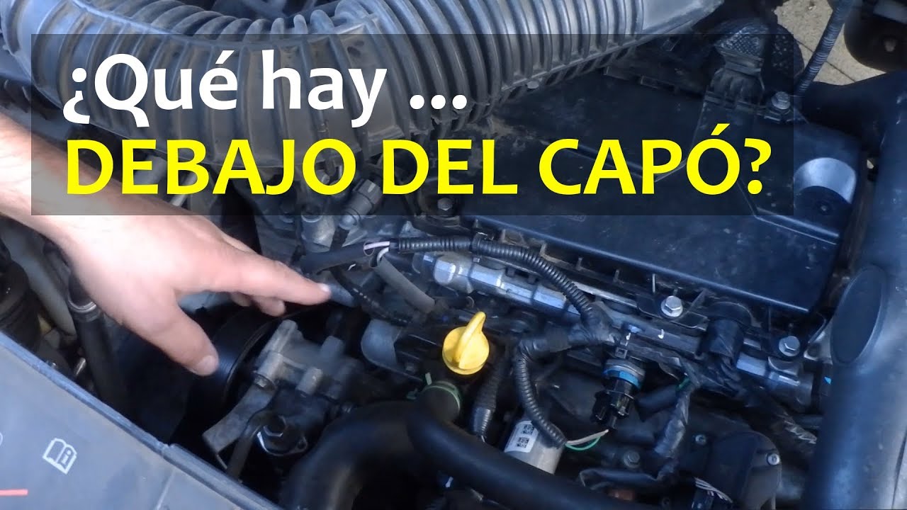 partes del capo de un coche