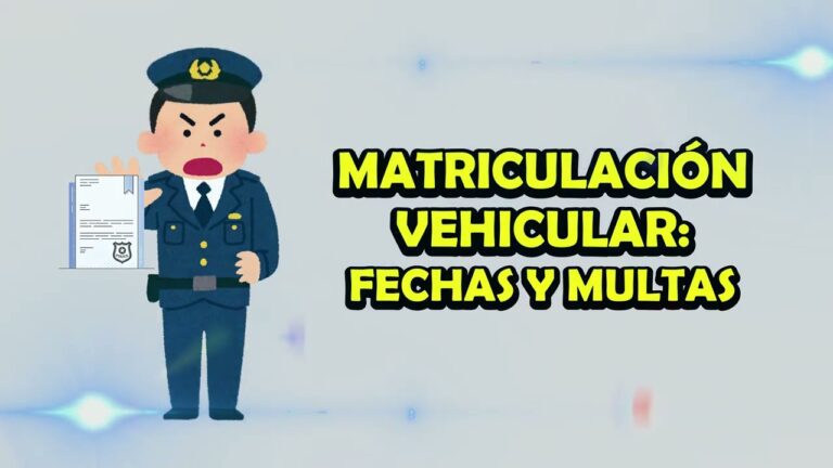 por que numero de matricula vamos
