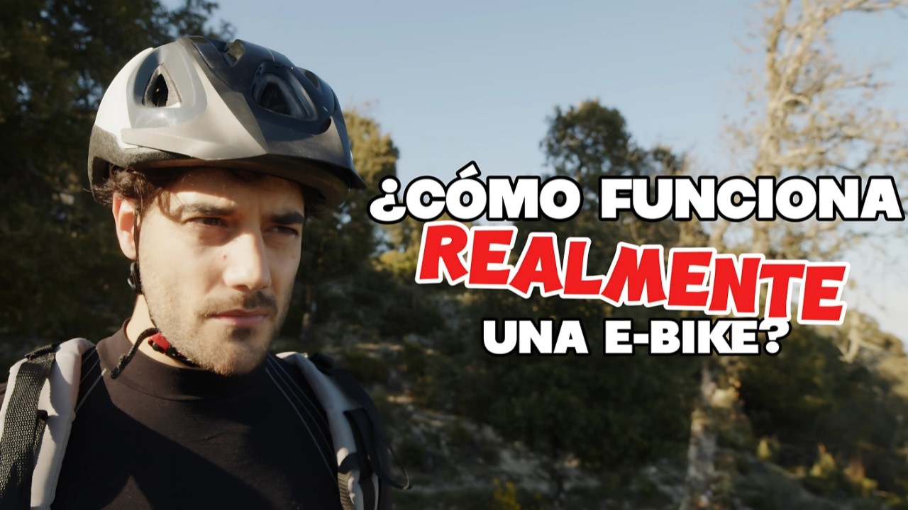 qué características tiene una bicicleta de pedales con pedaleo asistido