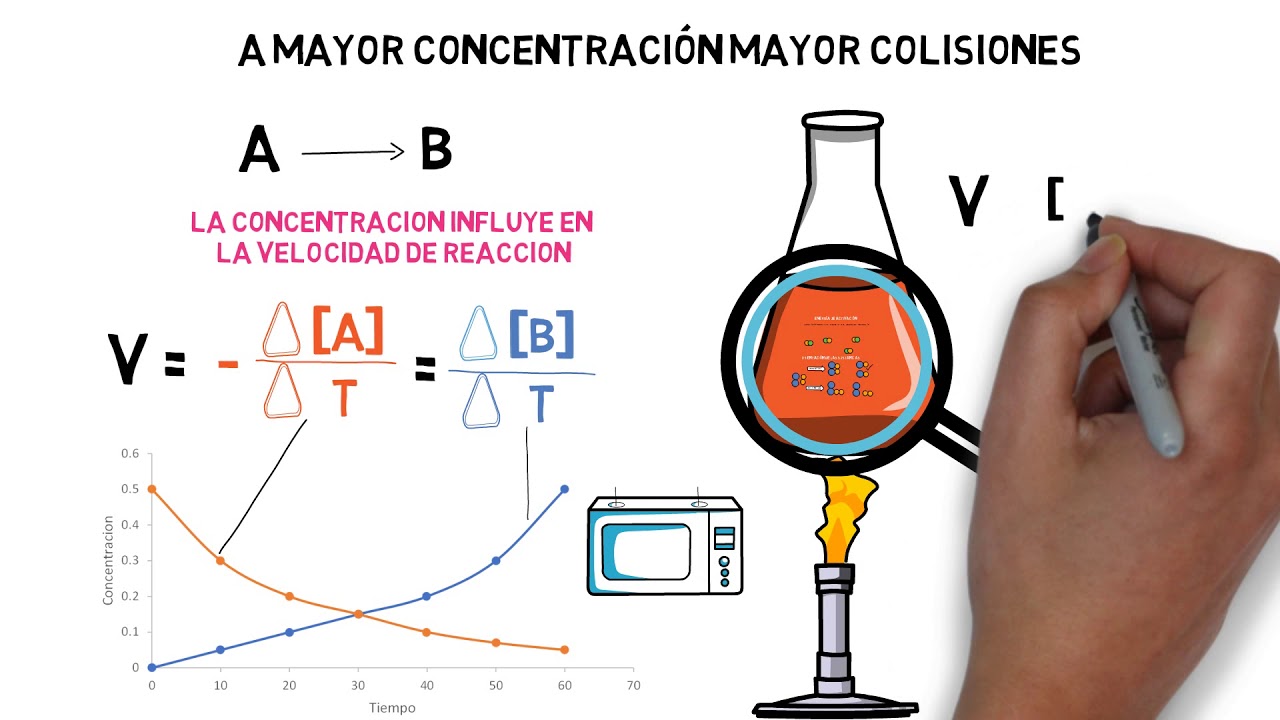 que es la velocidad de reacción