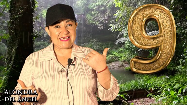 qué significa el número 9 en el carnet de conducir