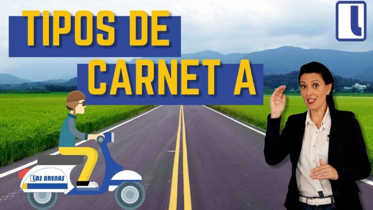que tipo de carnet es el de coche