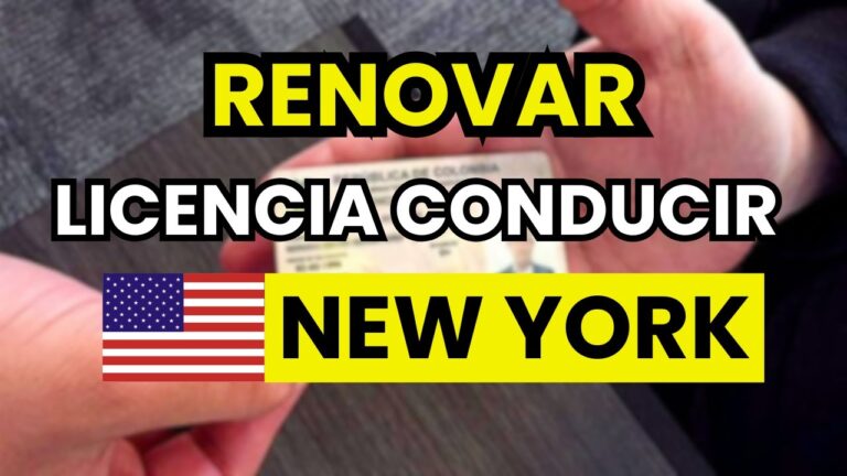 renovacion carnet de conducir ciudad real