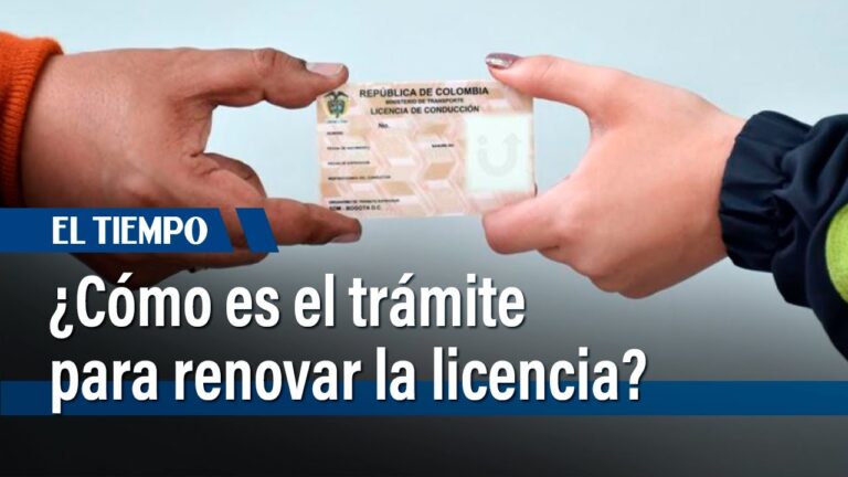 renovar carnet de conducir bilbao barato