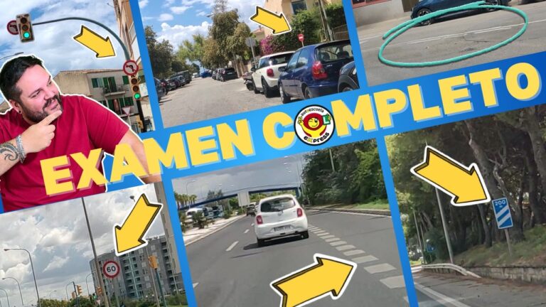 renovar carnet de conducir palma de mallorca