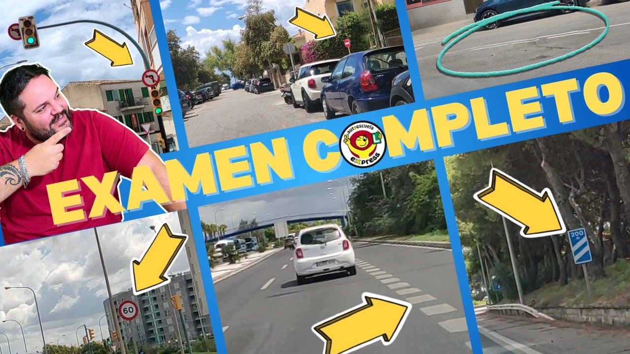 renovar carnet de conducir palma de mallorca