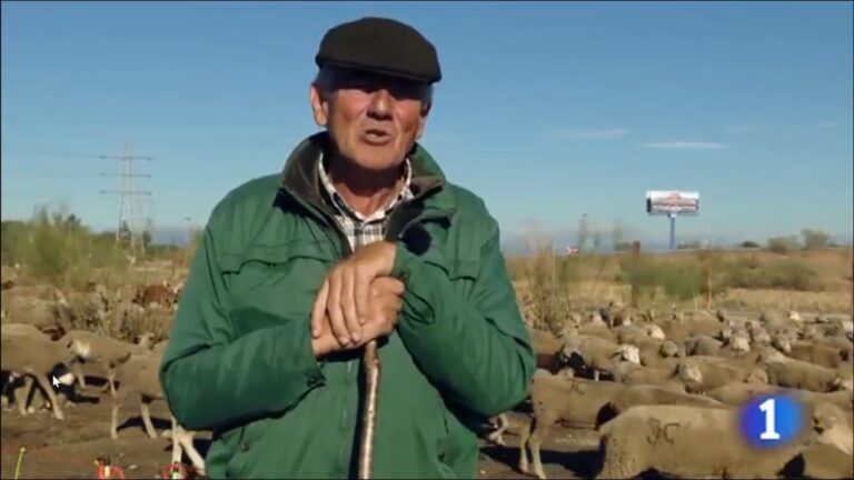 se puede circular por una vía pecuaria