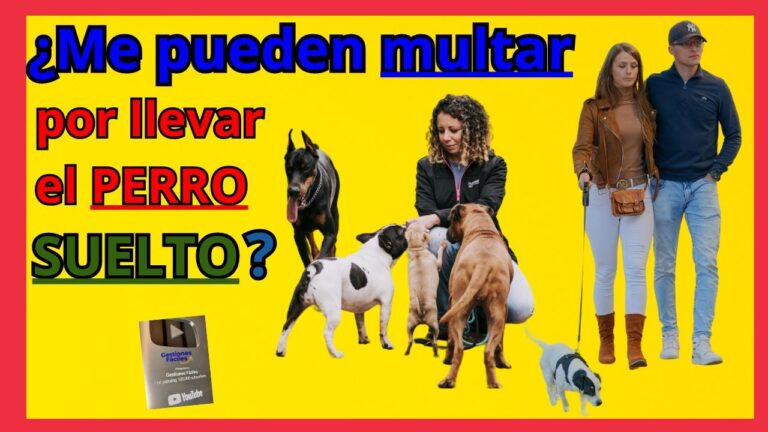 se puede llevar el perro suelto