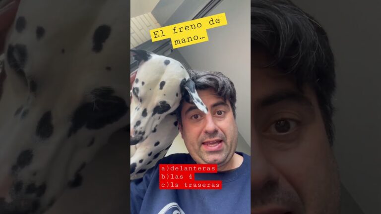 sobre que ruedas actúa el freno de mano