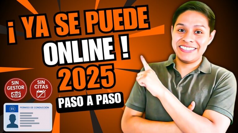 solicitud canje permiso de conducir pdf