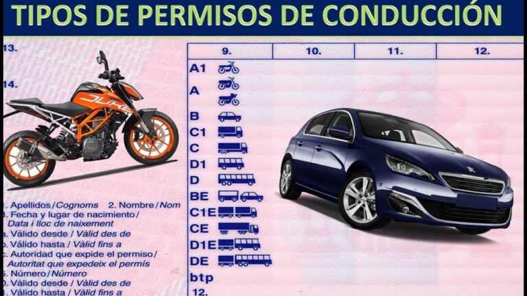 tipos de carnet de conducir en españa
