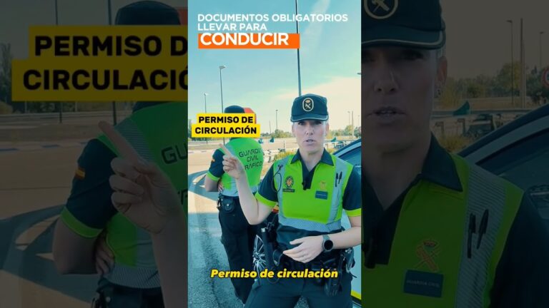 vale regalo carnet de conducir para imprimir